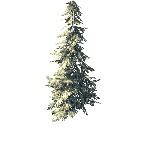 SpruceTreeWinter C_Optimized